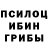 Галлюциногенные грибы мухоморы lottiejenvey