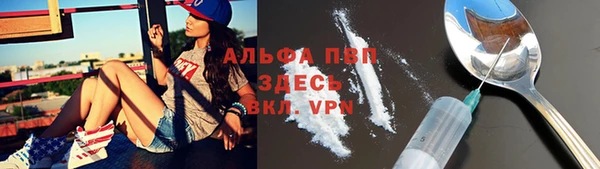 молекула духа Коряжма