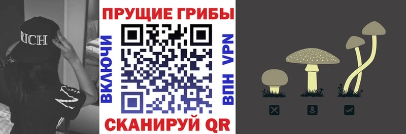 Псилоцибиновые грибы мухоморы Благодарный